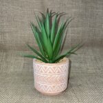 Γλαστράκι καφέ κεραμικό tribal και πρασινάδα