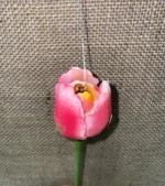 IMG 8365 2