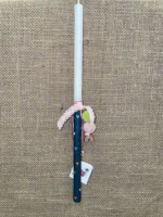 IMG 9887