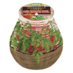 Κερί citronella σε γυάλινο ποτήρι - ''Ντομάτα''