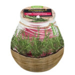 Κερί citronella σε γυάλινο ποτήρι - ''Δέντρολίβανο''