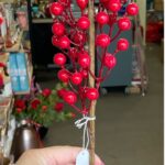 Κλαδί με μπορντώ ου