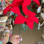 Κλαδί Αλεξανδρινό με 3 άνθη/κλαδί