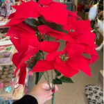 Μπουκέτο Αλεξανδρινό με 5 άνθη/μπουκέτο