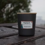 Αρωματικό κερί σόγιας με άρωμα ''Pumpkin Spice''