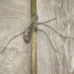 Στρογγυλή χρυσή λαμπάδα με μεταλλικό λευκό κουνέλι