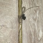 Στρογγυλή χρυσή λαμπάδα με μεταλλικό κουνέλι