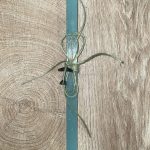 Μέντα τετράγωνη λαμπάδα με μεταλλικό αεροπλανάκι